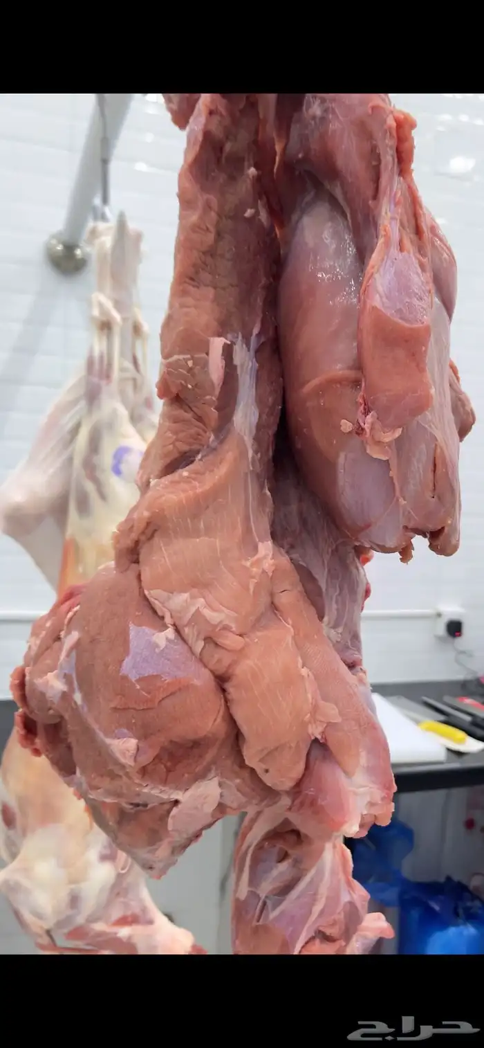ملحمة صالحة للحوم لاستيراد وتصدير اللحوم المبردة 7