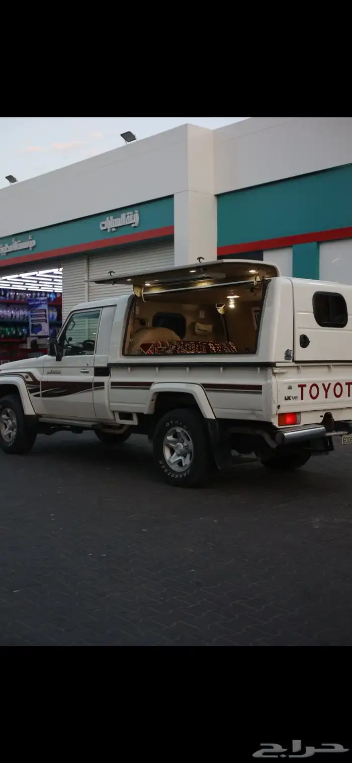 شد شاص فيبر فقط 1