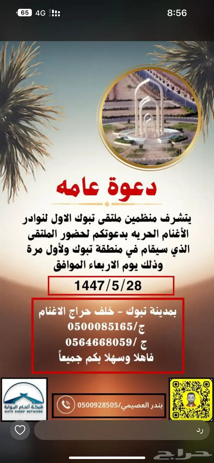 مزاد وملتقى الاغنام في تبوك 0