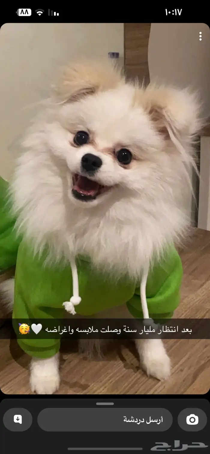 الاحساء   المبرز   حي السلام الثاني 1