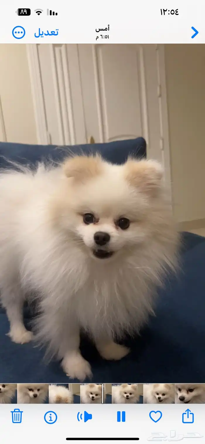 الاحساء   المبرز   حي السلام الثاني 2