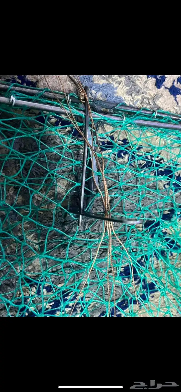 مصيده صقور وحمام 0