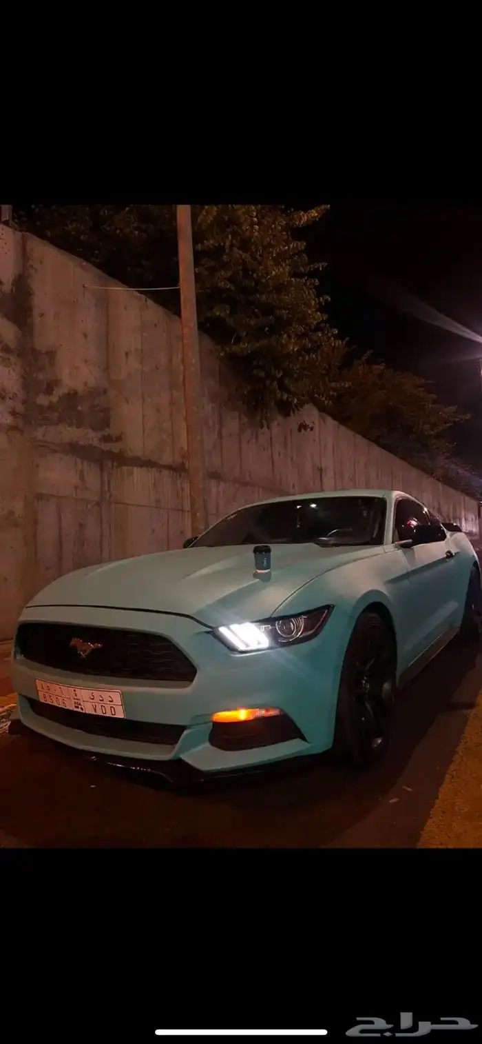 موستنج 2015 للبيع 5