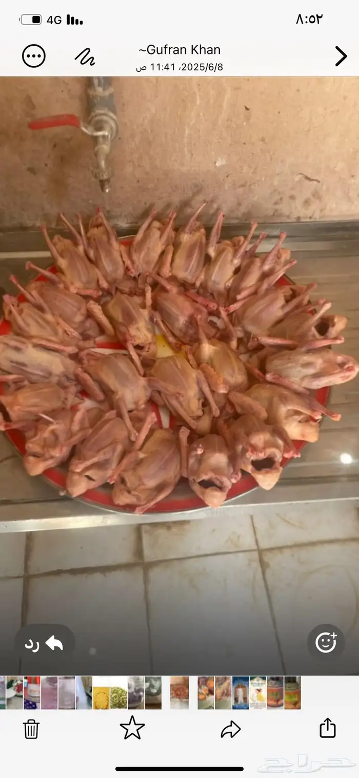 حمام فرنسي جامبو 0