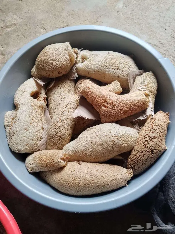 عسل بري حر الكيلوب100 المجموع35 كيلو طازج اليوم. 2