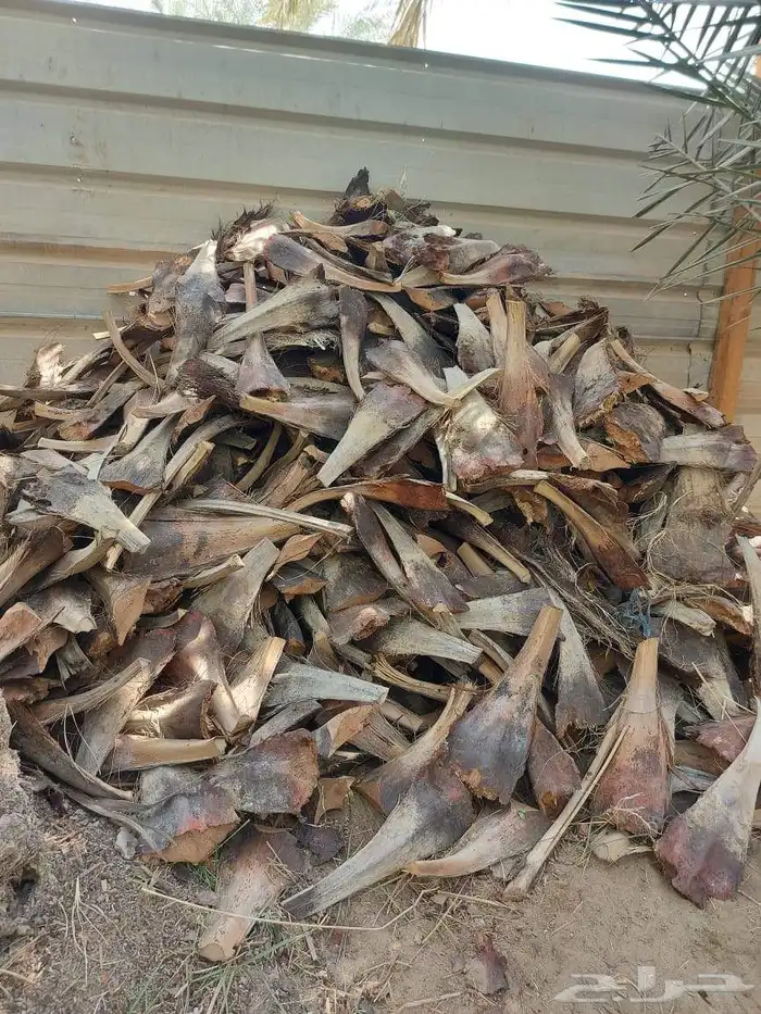 بيع كرب وجذوع للمندي خمس ريال فقط 5