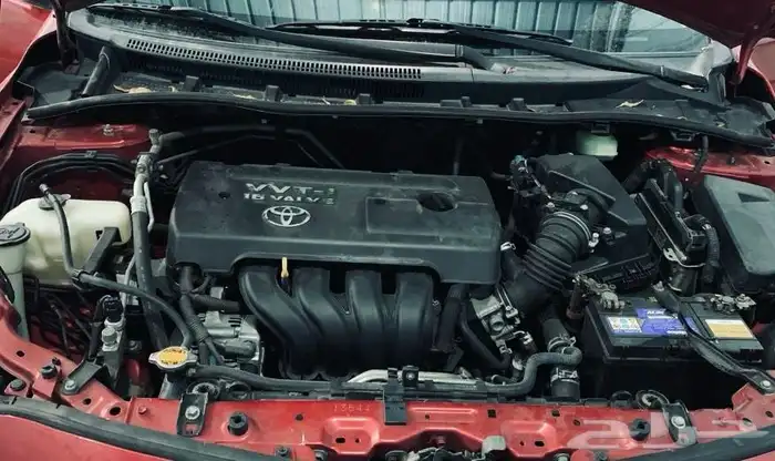 كورولا 2010 13