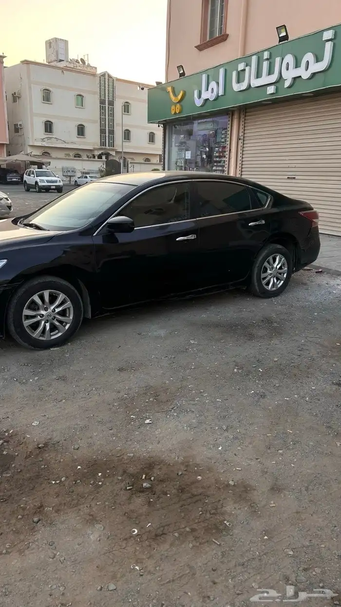 التيما 2015 ستاندر 13