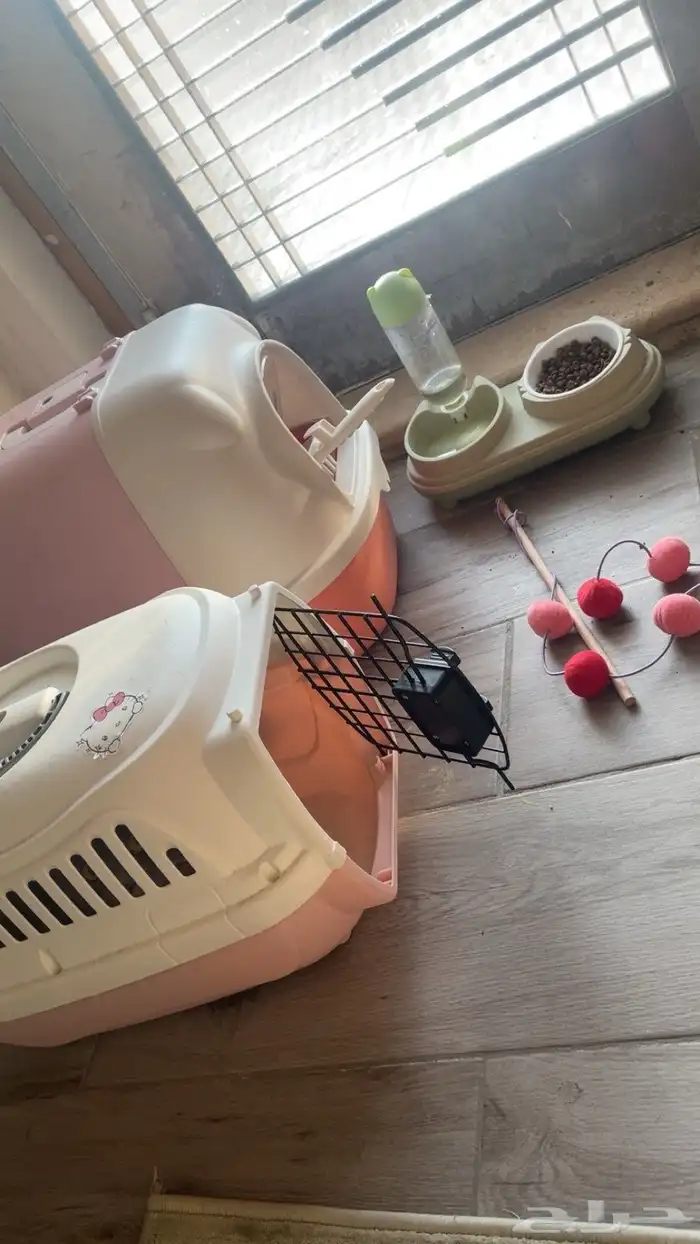 اغراض قط نظيفه وجديده استخدام شهرين معاها تراب جديد 2