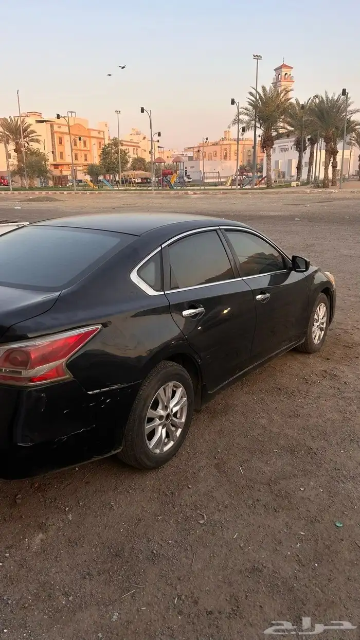 التيما 2015 ستاندر 11