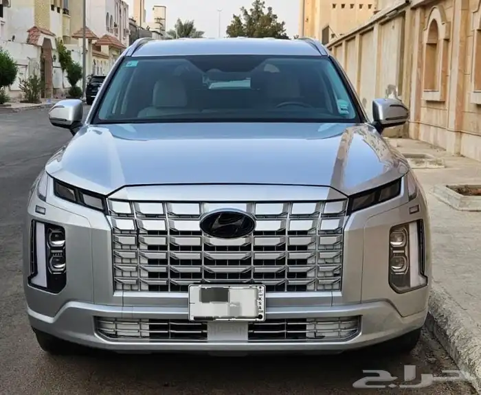 باليسيد 2024 3