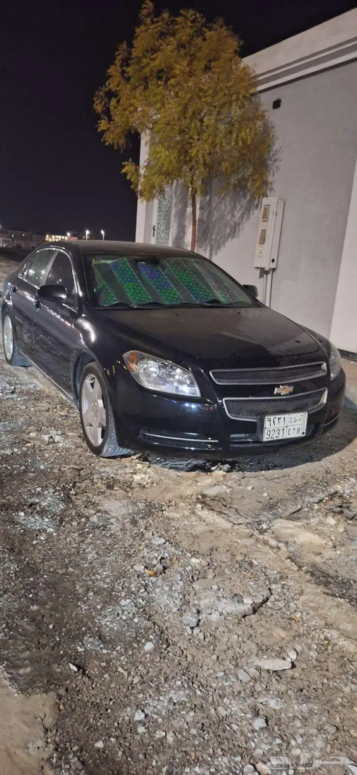 مايبو 2011 نص فل 0