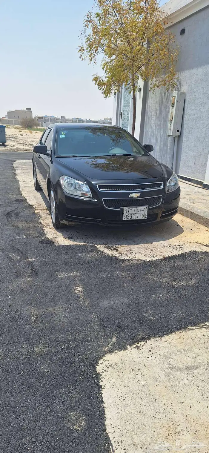 مايبو 2011 نص فل 2