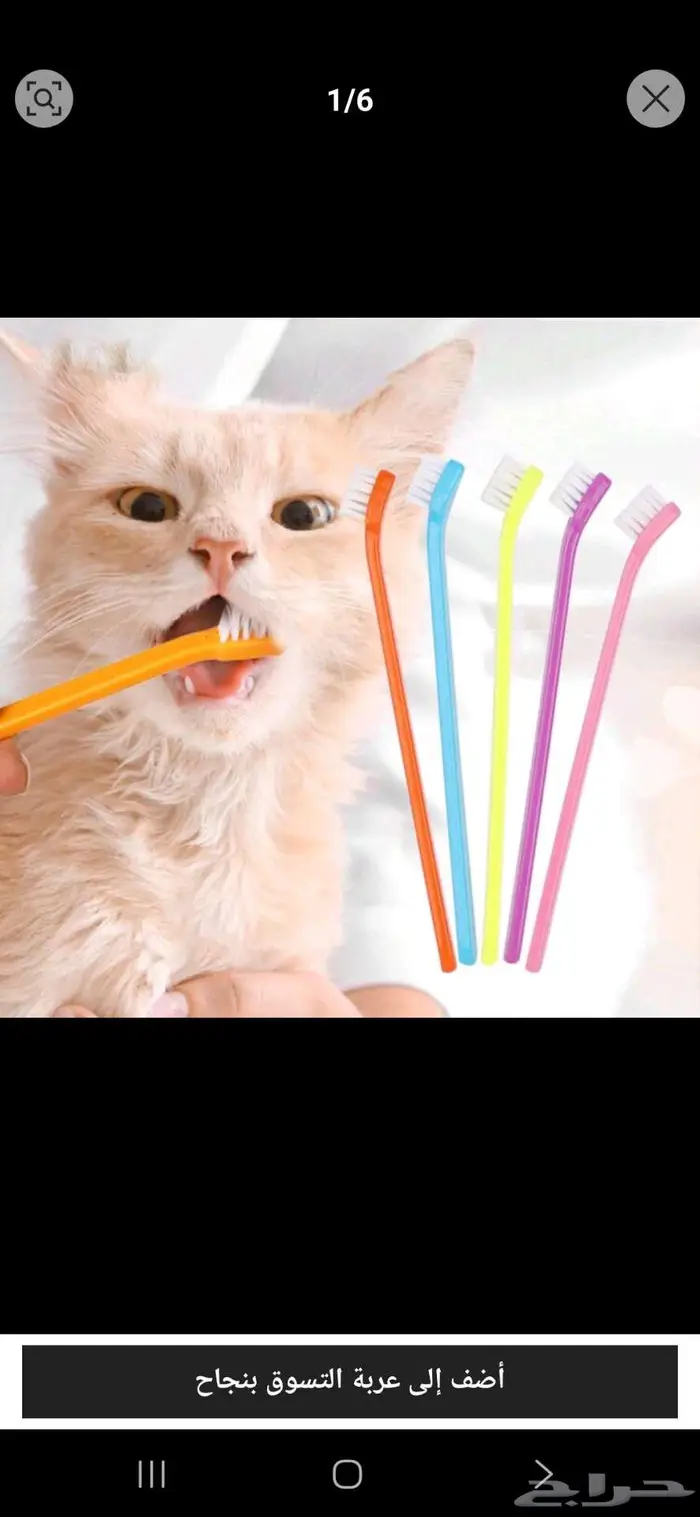 مستلزمات قطة مستعملة 14