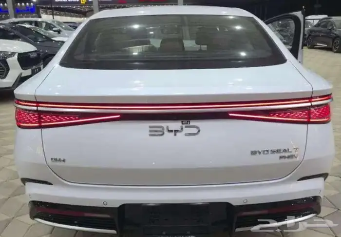 بي واي دي BYD S7 2026 7