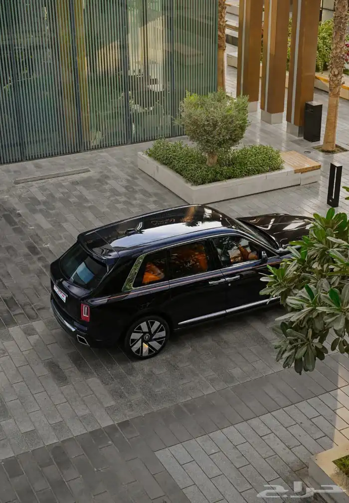 سيد الفخامة وصل 3