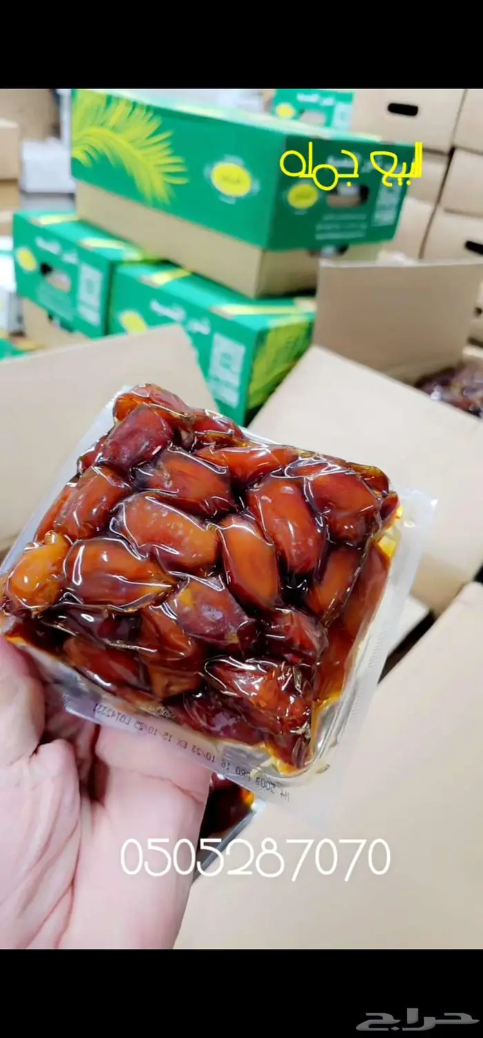 خلاص نص كيلو 1