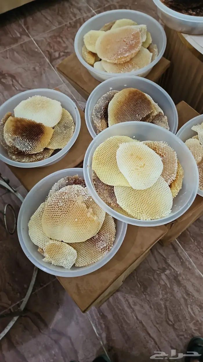 عسل وشمع سدر بلدي 1