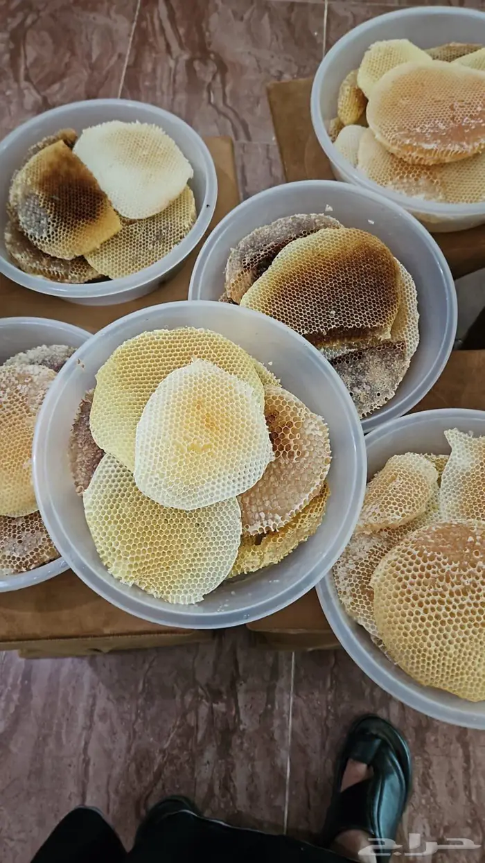 عسل وشمع سدر بلدي 2