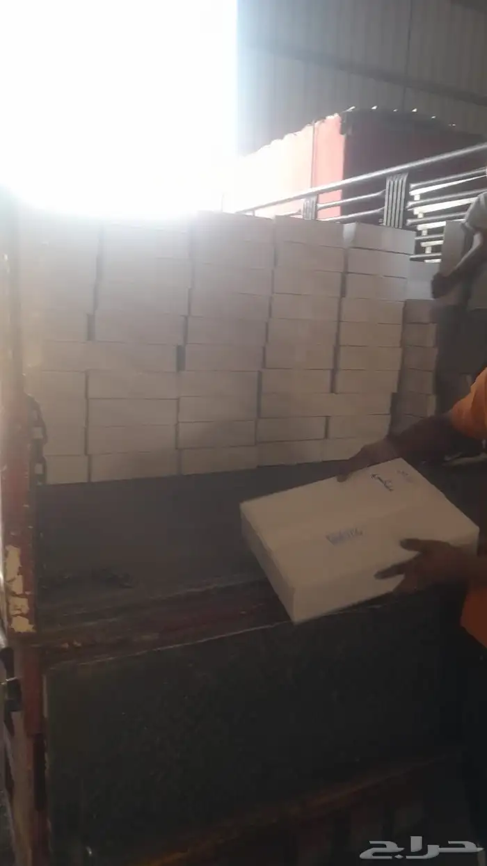 تمور حائل الفاخره 9