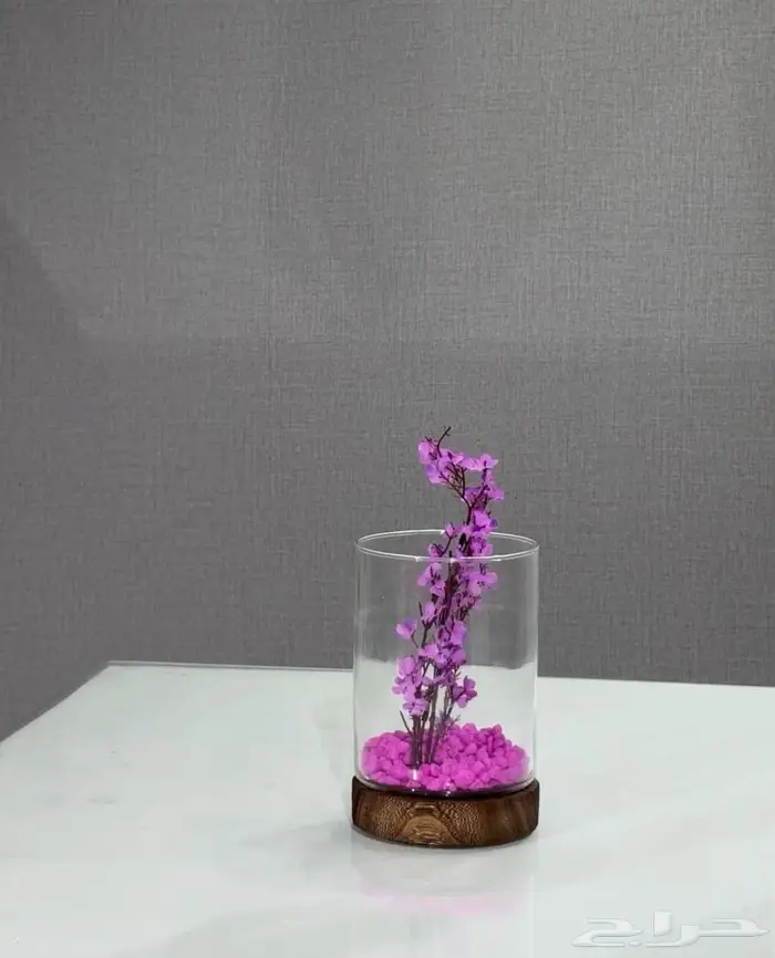 اسماك فايتر و سلاحف مع احواض 6