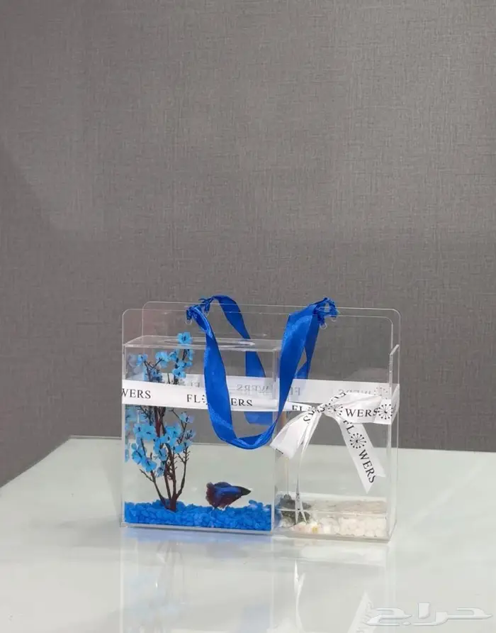 اسماك فايتر و سلاحف مع احواض 3