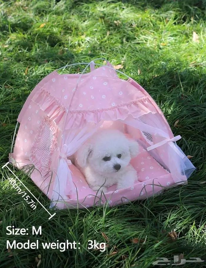 مستلزمات قطة مستعملة 3