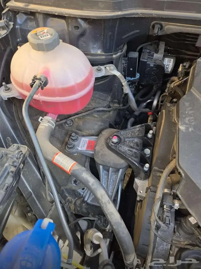 كيا كرنفال 2021 ex 11