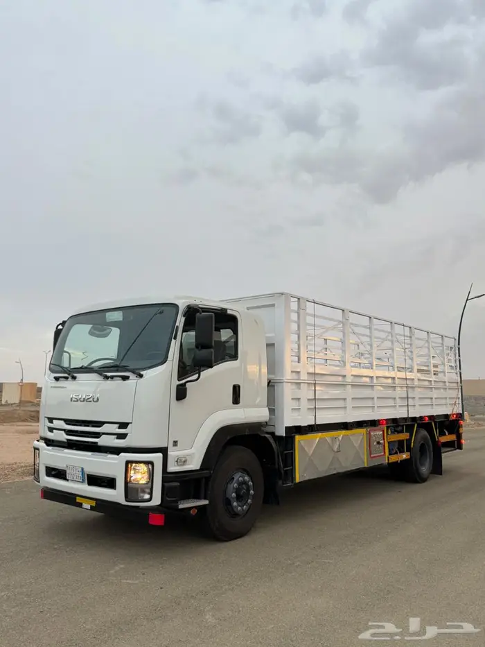 دينا ايسوزو 2023 1