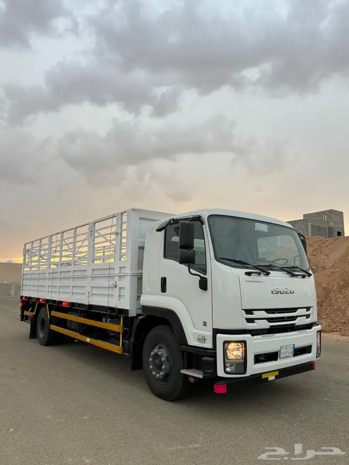 دينا ايسوزو 2023 0