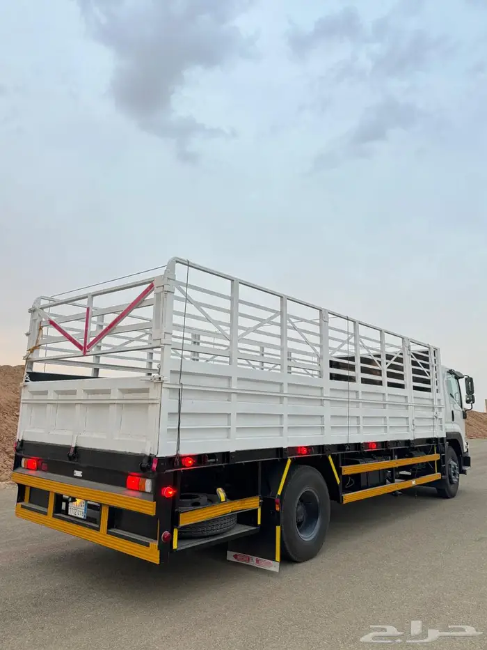 دينا ايسوزو 2023 2