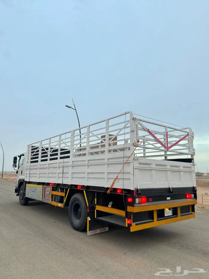 دينا ايسوزو 2023 3