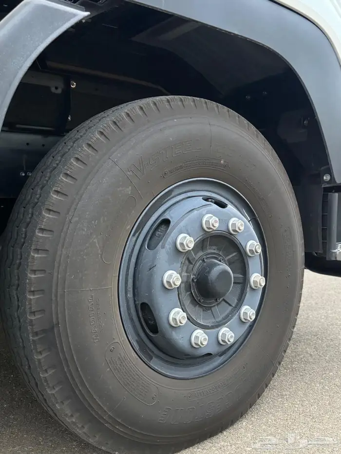 دينا ايسوزو 2023 12