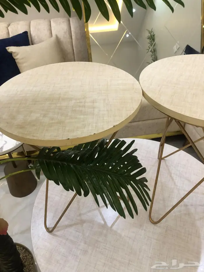 للبيع طقم طاولات   بلازما تلفزيون   شجر ديكور 3