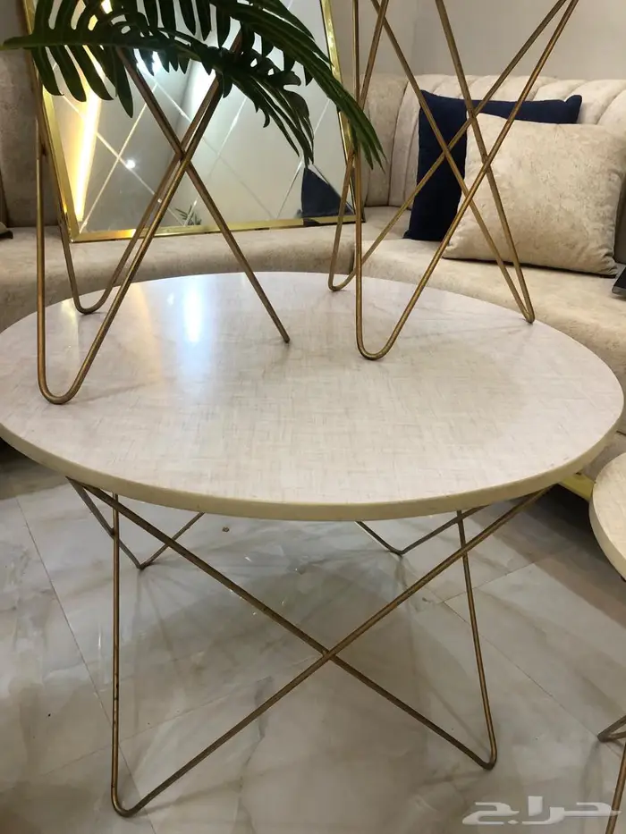 للبيع طقم طاولات   بلازما تلفزيون   شجر ديكور 2