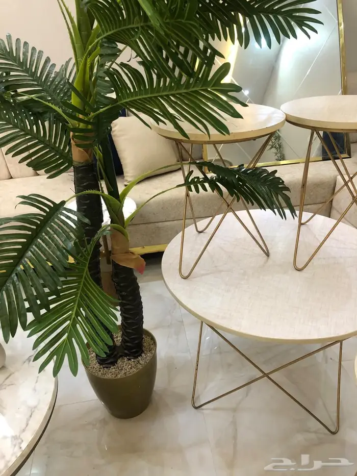 للبيع طقم طاولات   بلازما تلفزيون   شجر ديكور 0