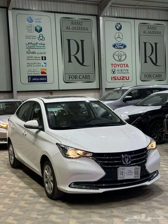 شانجان السفن 2025 فل المجدوعي 7