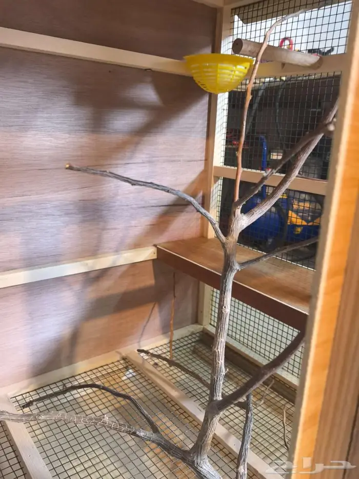 قفص عصافير زينه 5