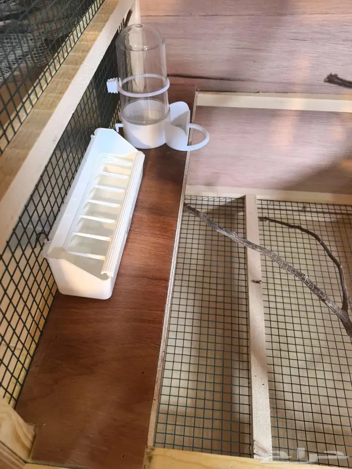 قفص عصافير زينه 4