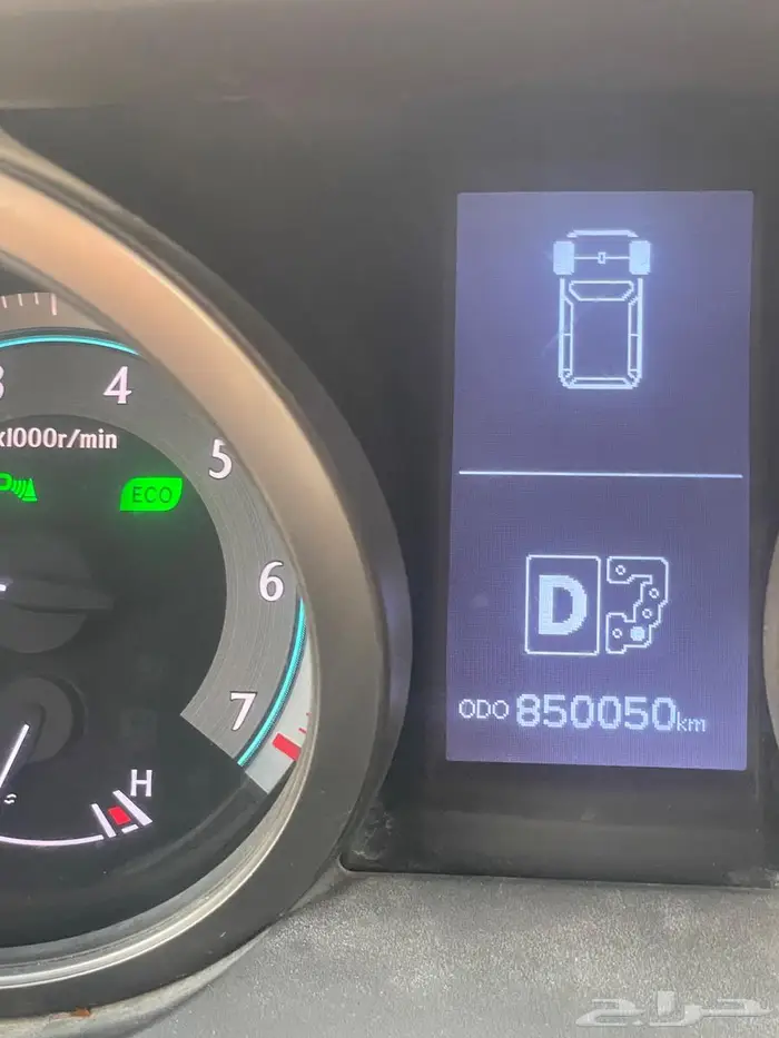 الأحساء- الوزية 5