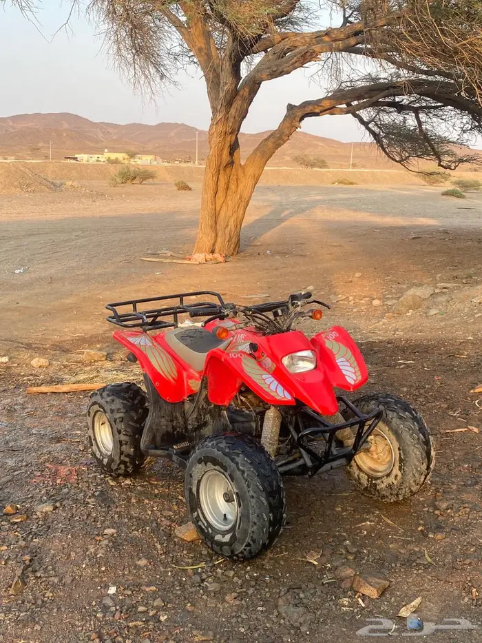 دباب للبيع 3