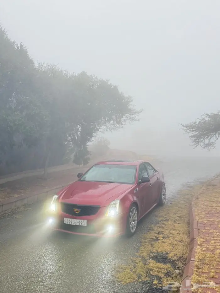 كاديلاك قروب 0