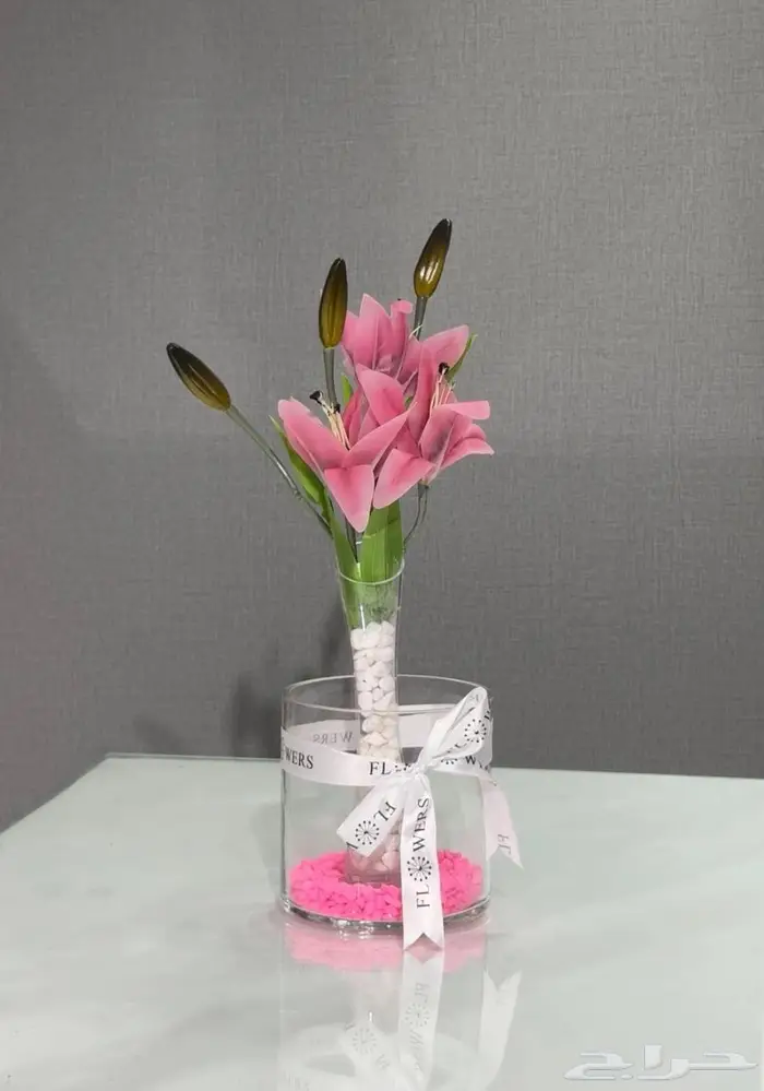 اسماك فايتر و سلاحف مع احواض 4