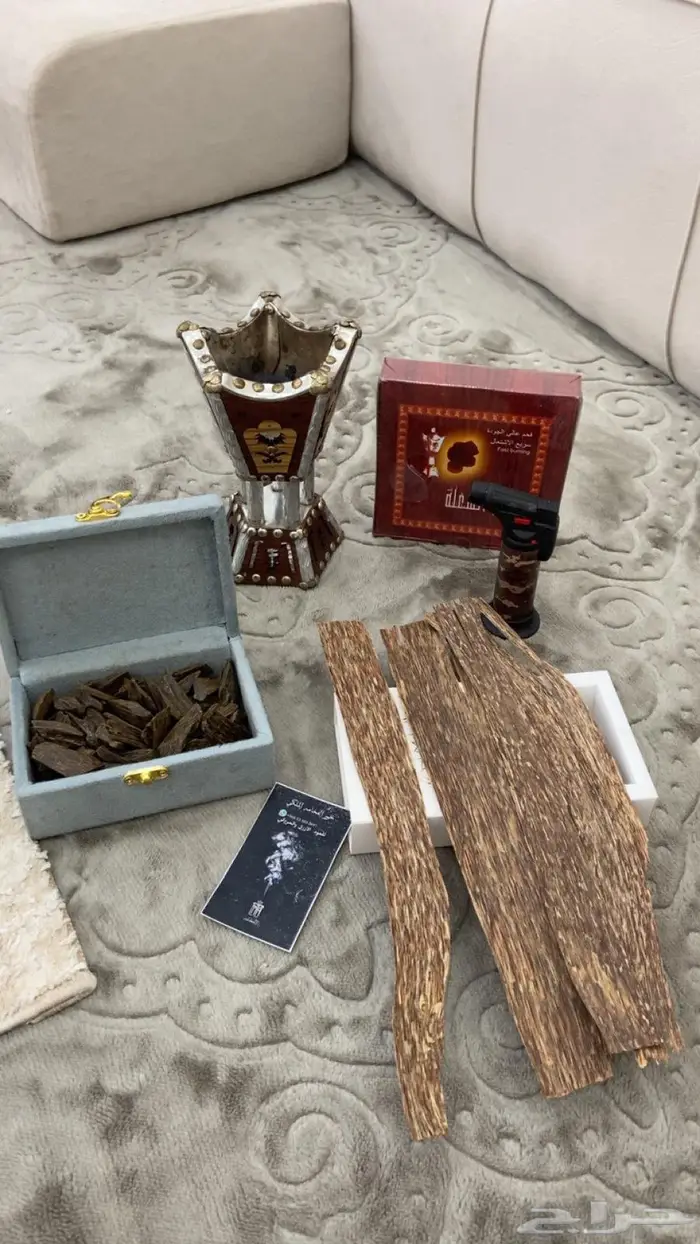 العود الازرق الملكي تبوك 1