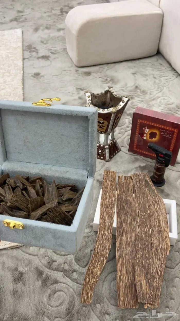 العود الازرق الملكي تبوك 2