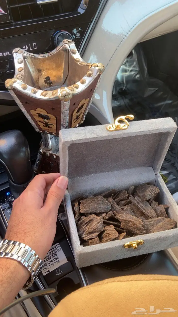 العود الازرق الملكي تبوك 8