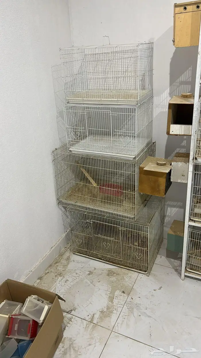 بيع مسلتزمات طيور واقفاص وبياضات مستخدمه 6