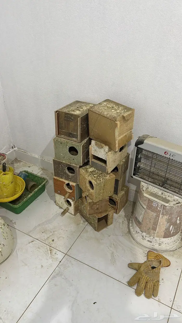 بيع مسلتزمات طيور واقفاص وبياضات مستخدمه 1