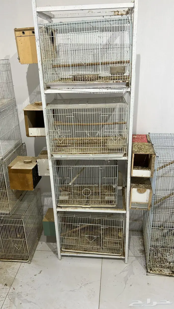 بيع مسلتزمات طيور واقفاص وبياضات مستخدمه 5