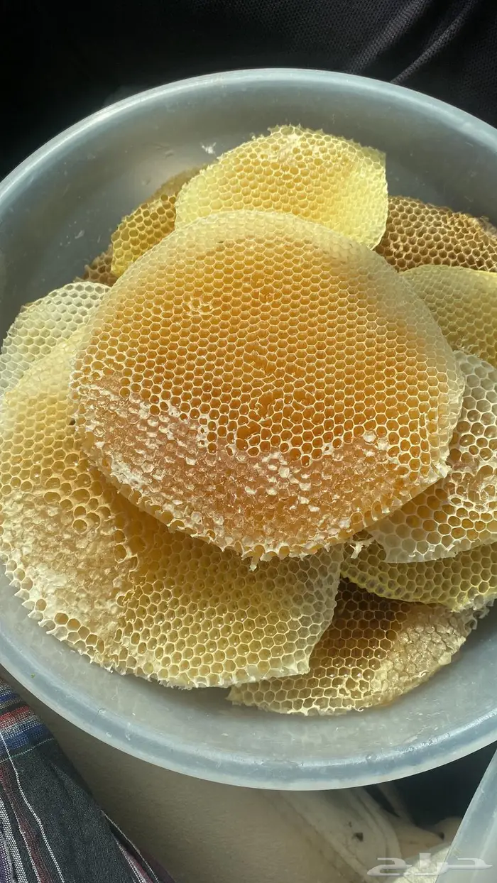 عسل وشمع سدر بلدي 4